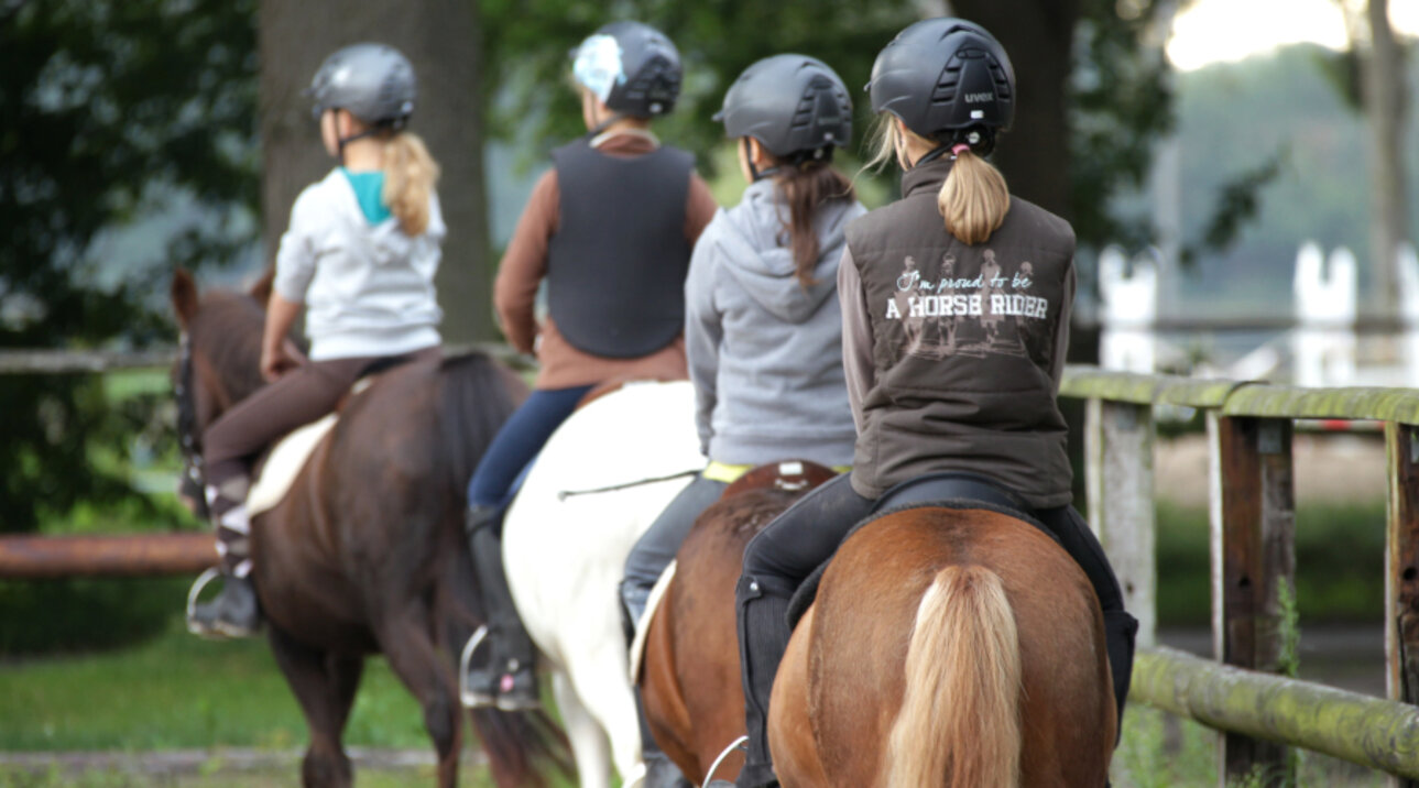 reitunterricht-4-big