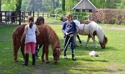 pferde-kinder-mit-ponys-big